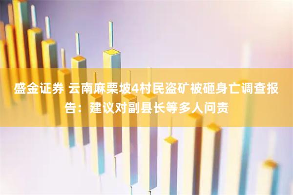 盛金证券 云南麻栗坡4村民盗矿被砸身亡调查报告：建议对副县长等多人问责