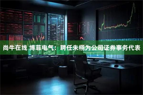 尚牛在线 博菲电气：聘任朱栩为公司证券事务代表