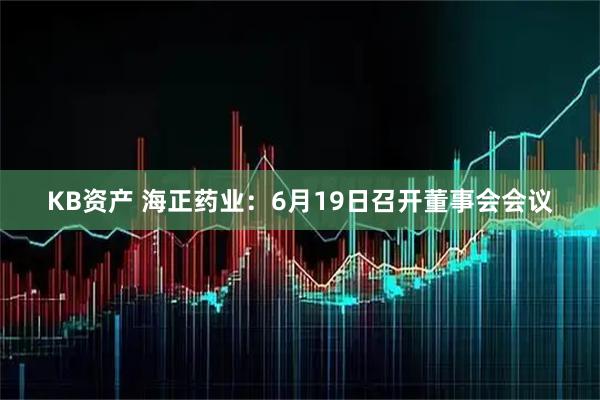 KB资产 海正药业：6月19日召开董事会会议