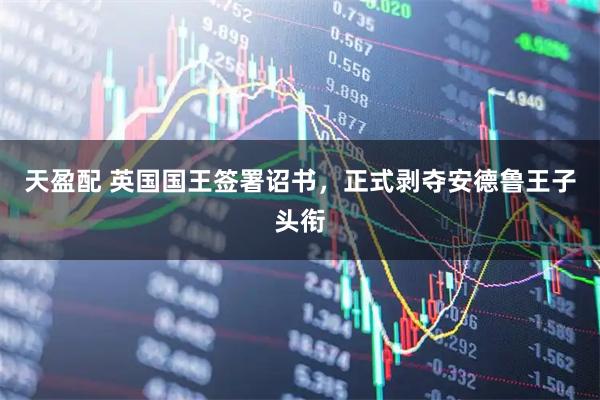 天盈配 英国国王签署诏书，正式剥夺安德鲁王子头衔